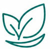 بمستخلصات عشبية ومضادات أكسدة