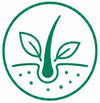 يهدى فروة الراس